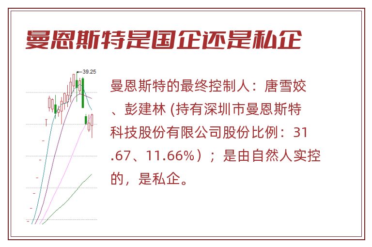 曼恩斯特是国企还是私企