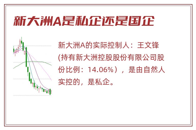 新大洲A是私企还是国企