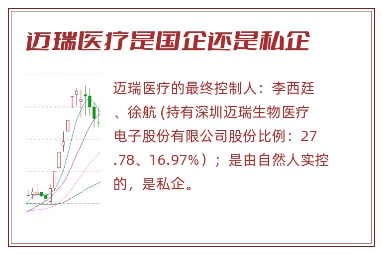 迈瑞医疗是国企还是私企