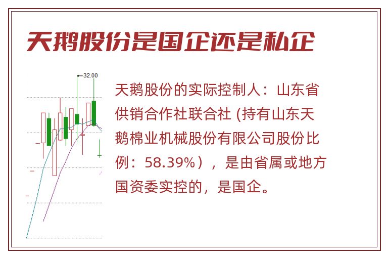 天鹅股份是国企还是私企