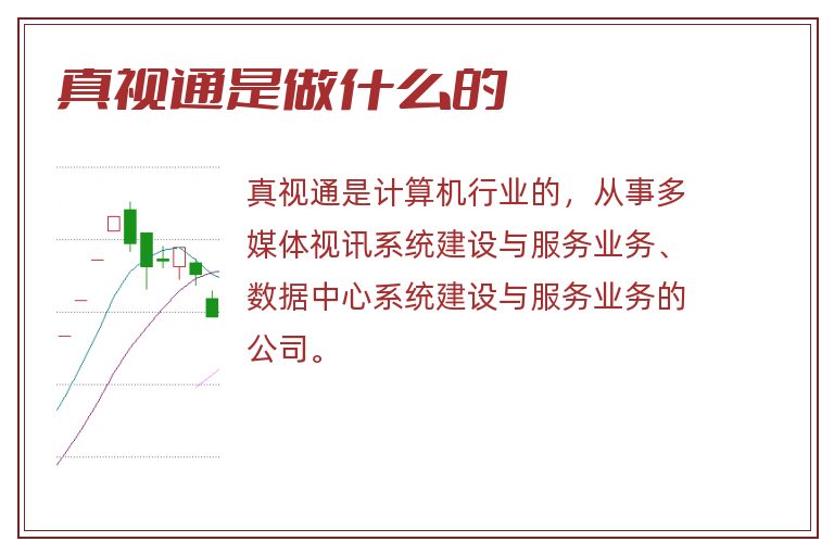 真视通是做什么的