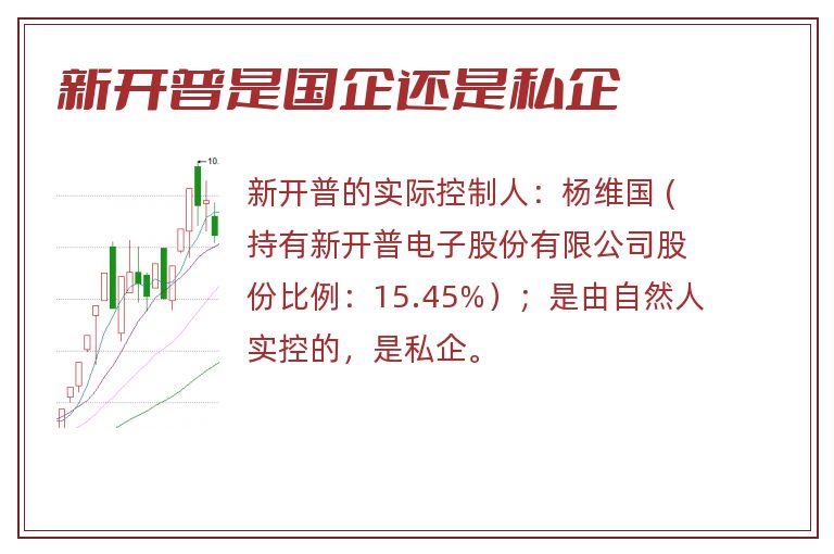 新开普是国企还是私企