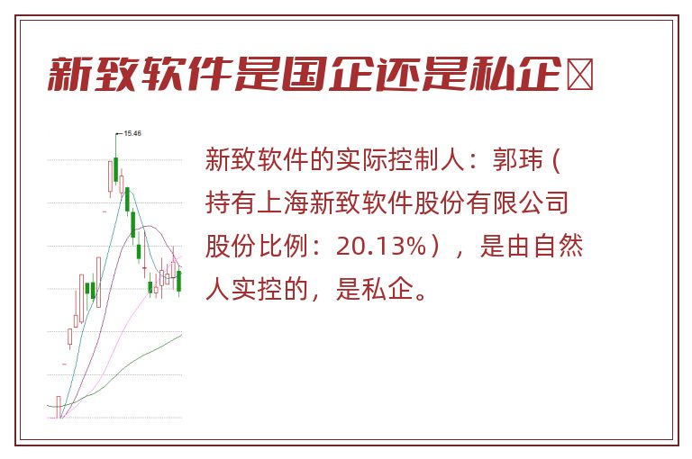 新致软件是国企还是私企	