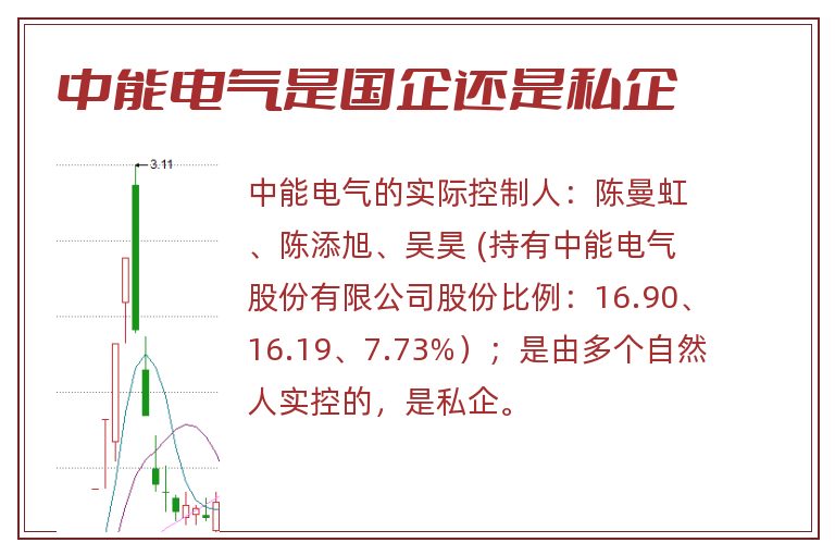 中能电气是国企还是私企