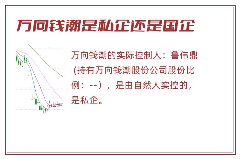 万向钱潮是私企还是国企