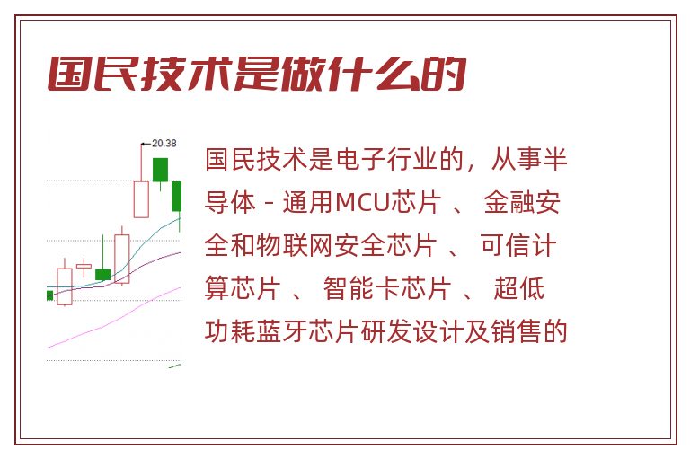 国民技术是做什么的