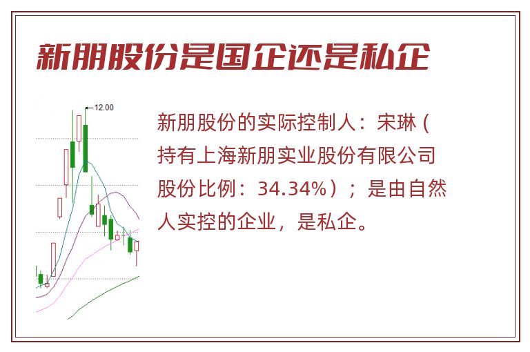 新朋股份是国企还是私企