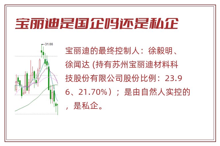 宝丽迪是国企吗还是私企