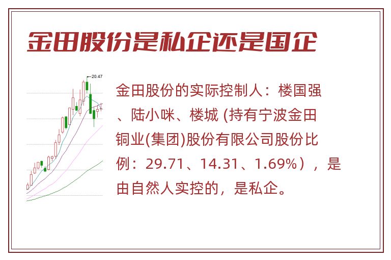 金田股份是私企还是国企