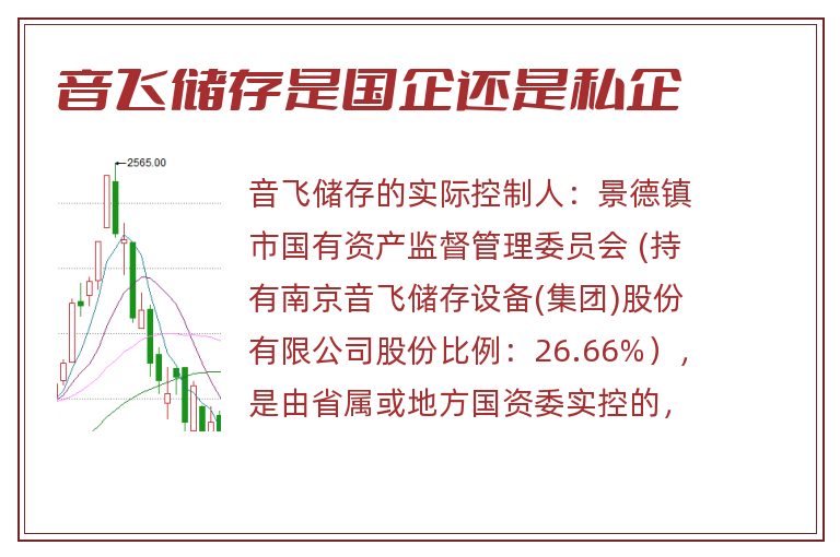 音飞储存是国企还是私企