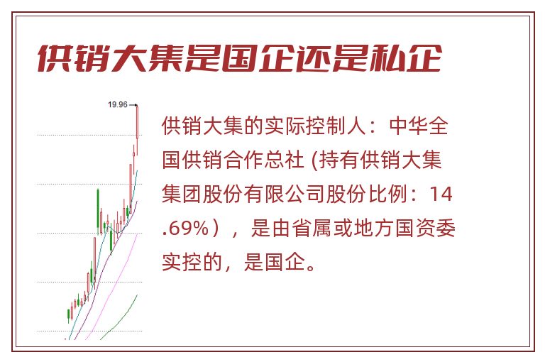 供销大集是国企还是私企