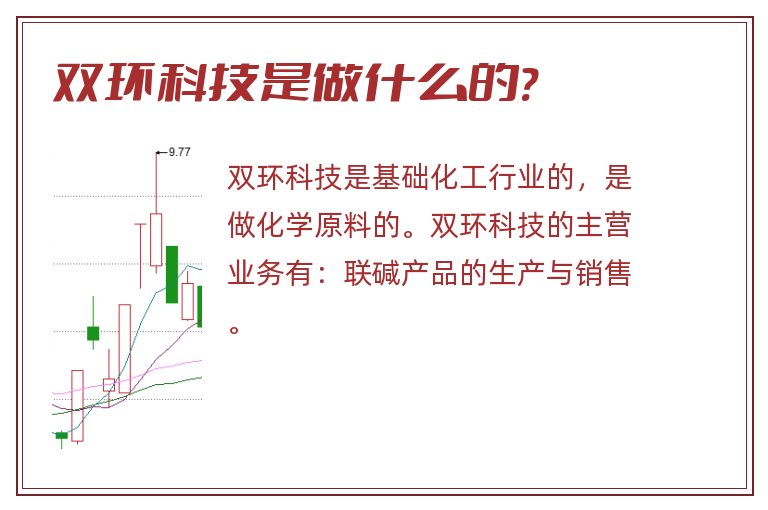 双环科技是做什么的?