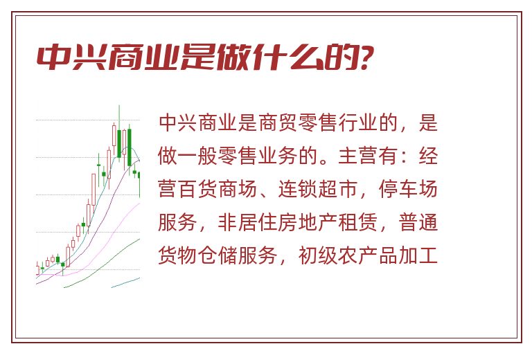 中兴商业是做什么的？