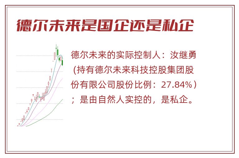 德尔未来是国企还是私企