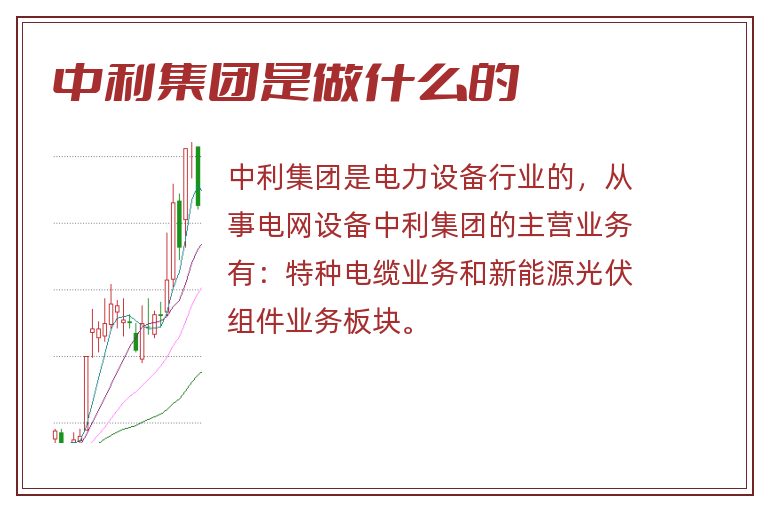 中利集团是做什么的