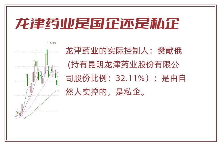 龙津药业是国企还是私企