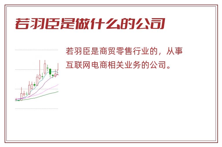 若羽臣是做什么的公司