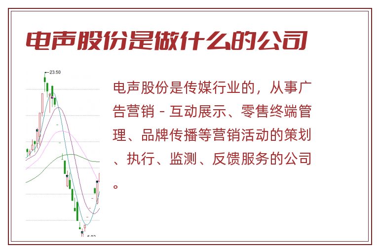 电声股份是做什么的公司