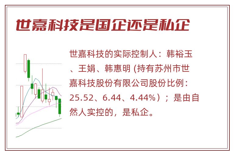 世嘉科技是国企还是私企