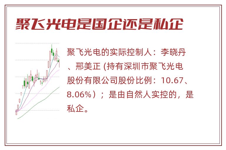 聚飞光电是国企还是私企