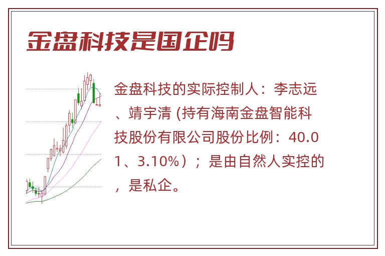 金盘科技是国企吗