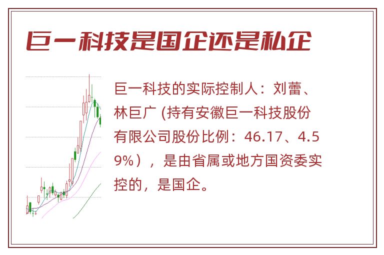 巨一科技是国企还是私企