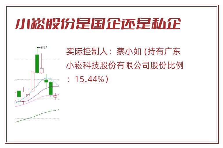 小崧股份是国企还是私企