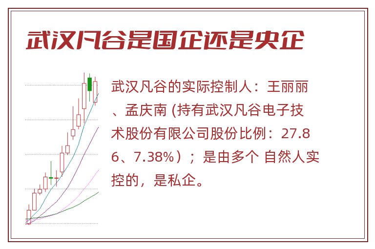 武汉凡谷是国企还是央企