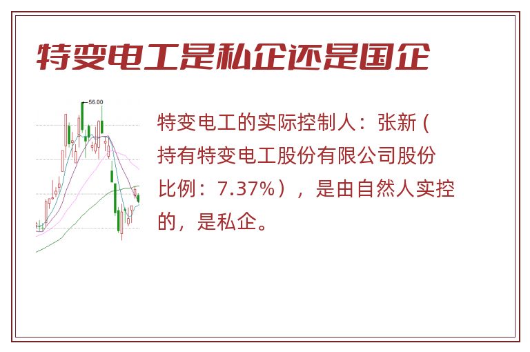 特变电工是私企还是国企