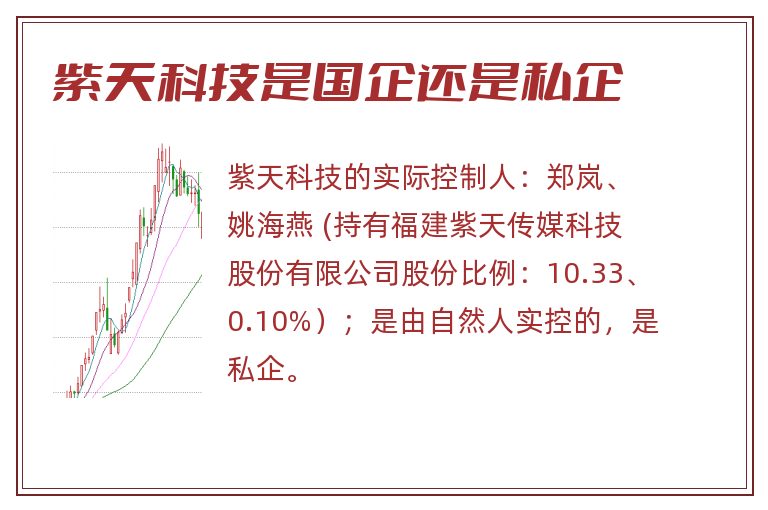 紫天科技是国企还是私企