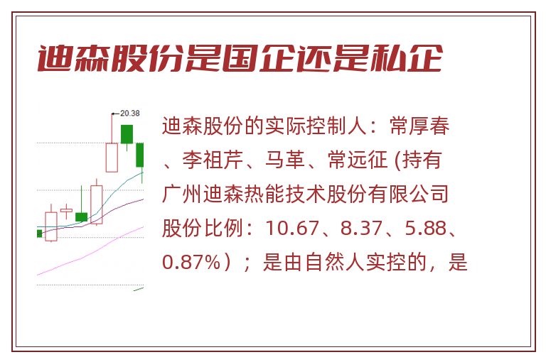 迪森股份是国企还是私企