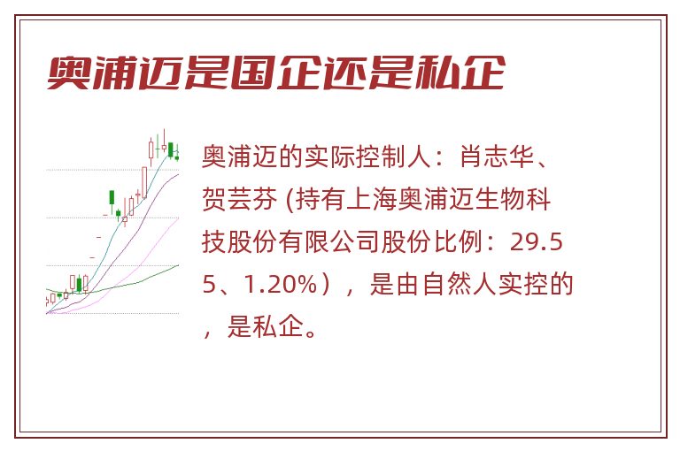 奥浦迈是国企还是私企