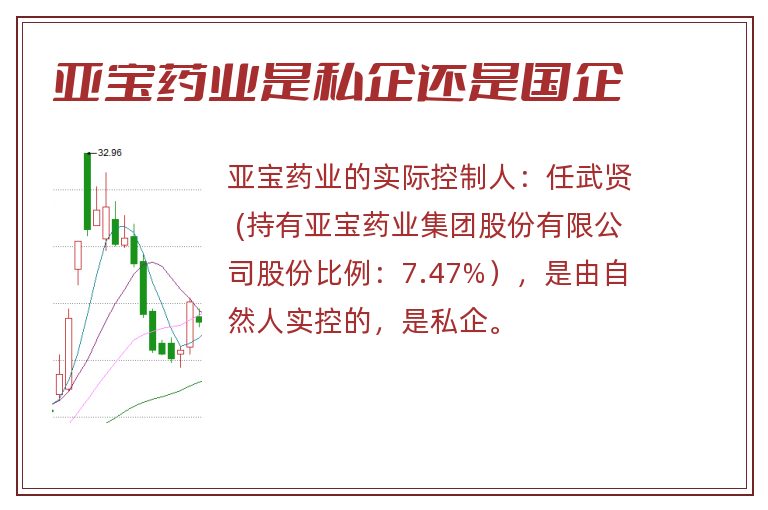 亚宝药业是私企还是国企