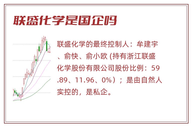 联盛化学是国企吗