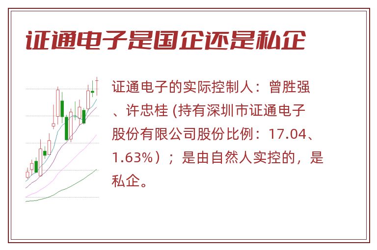 证通电子是国企还是私企