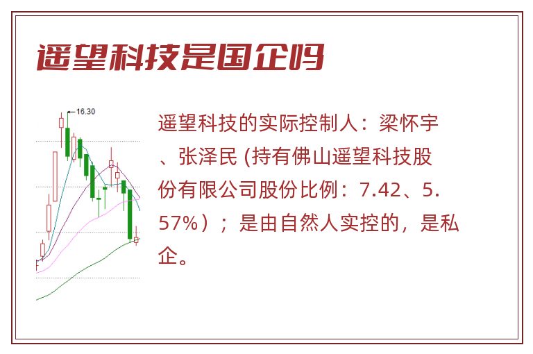 遥望科技是国企吗