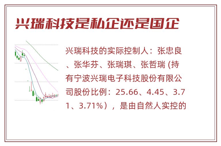 兴瑞科技是私企还是国企