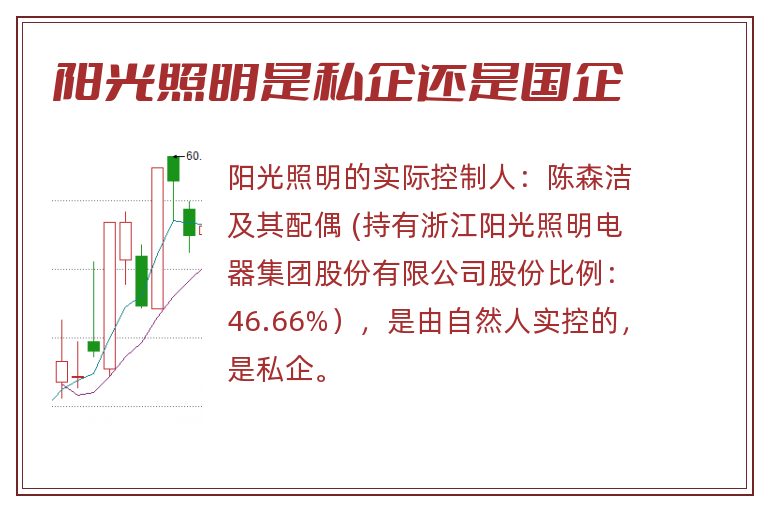 阳光照明是私企还是国企