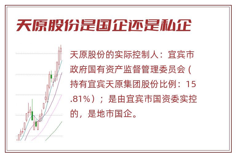 天原股份是国企还是私企