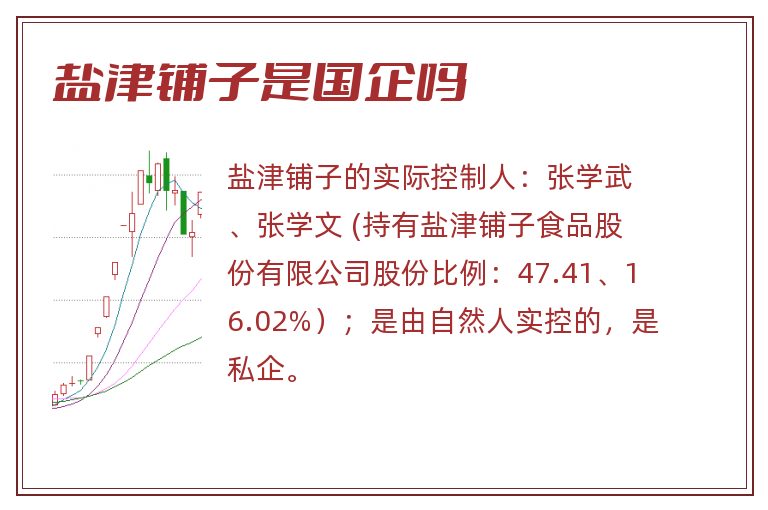 盐津铺子是国企吗