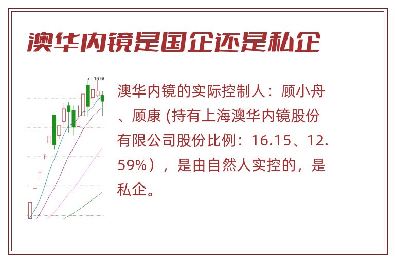 澳华内镜是国企还是私企