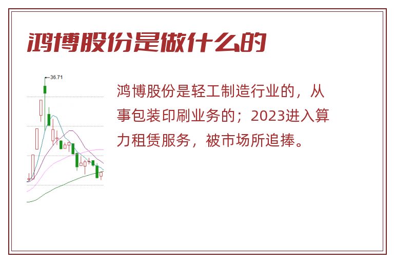 鸿博股份是做什么的