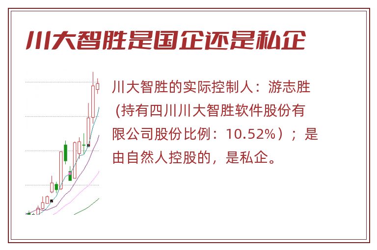 川大智胜是国企还是私企