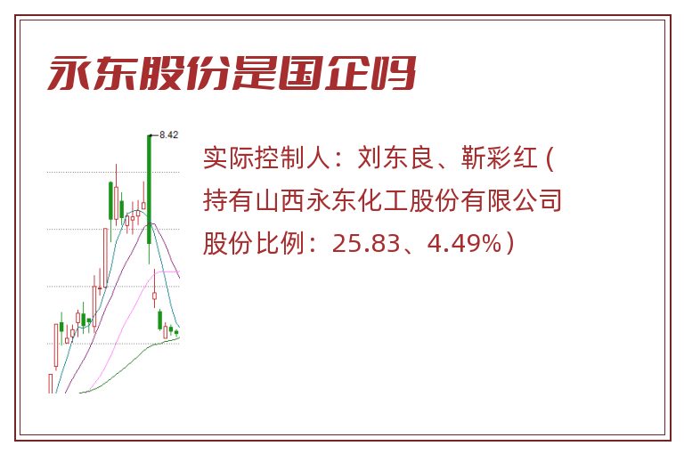 永东股份是国企吗