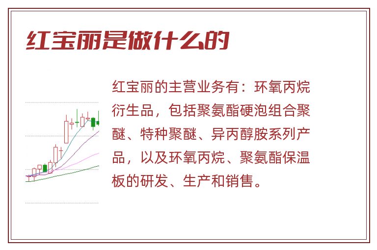 红宝丽是做什么的