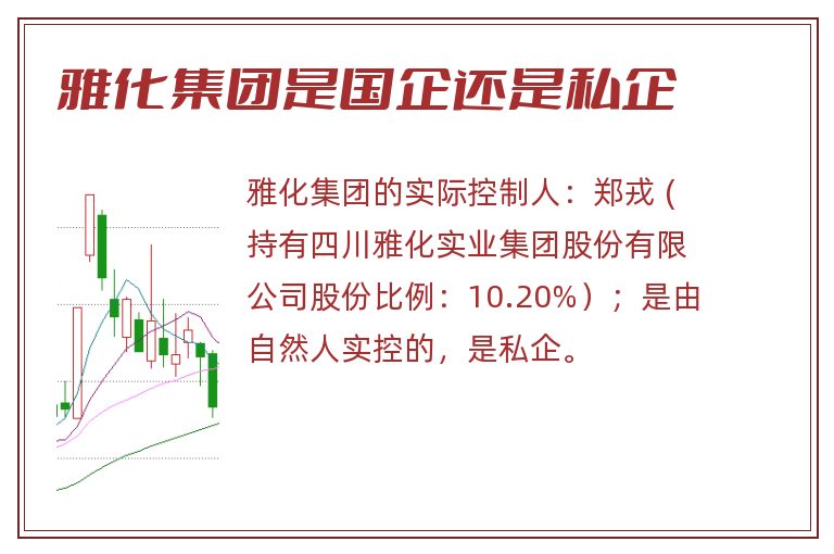 雅化集团是国企还是私企