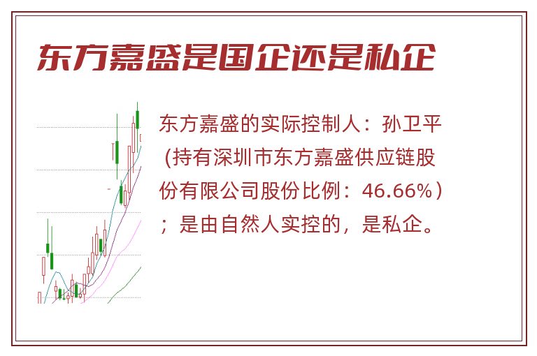 东方嘉盛是国企还是私企