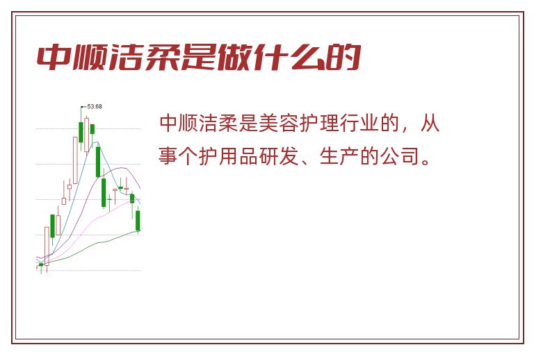 中顺洁柔是做什么的