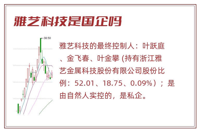 雅艺科技是国企吗