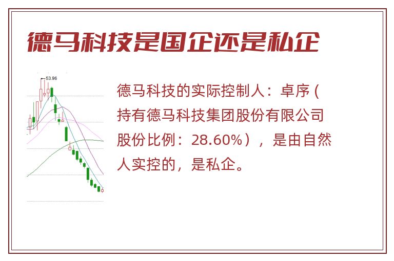 德马科技是国企还是私企